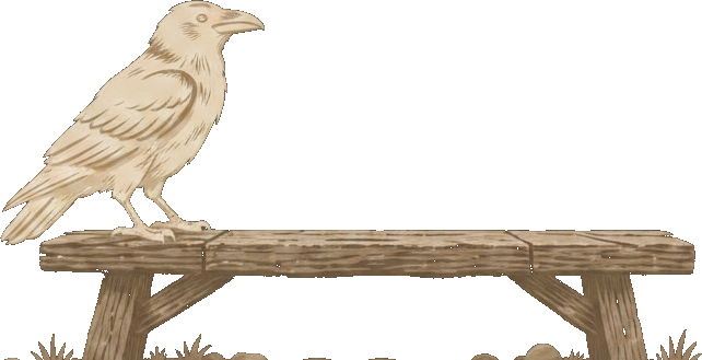 Wild Table Outfitters